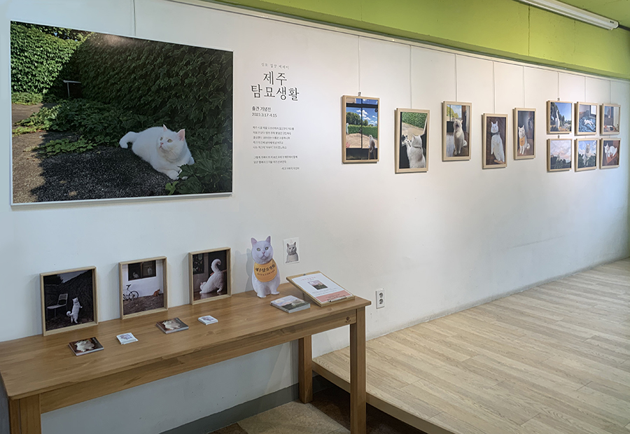 2023년 3월 동물권행동 카라의 킁킁도서관에서 개최한 『제주탐묘생활』 출간기념전